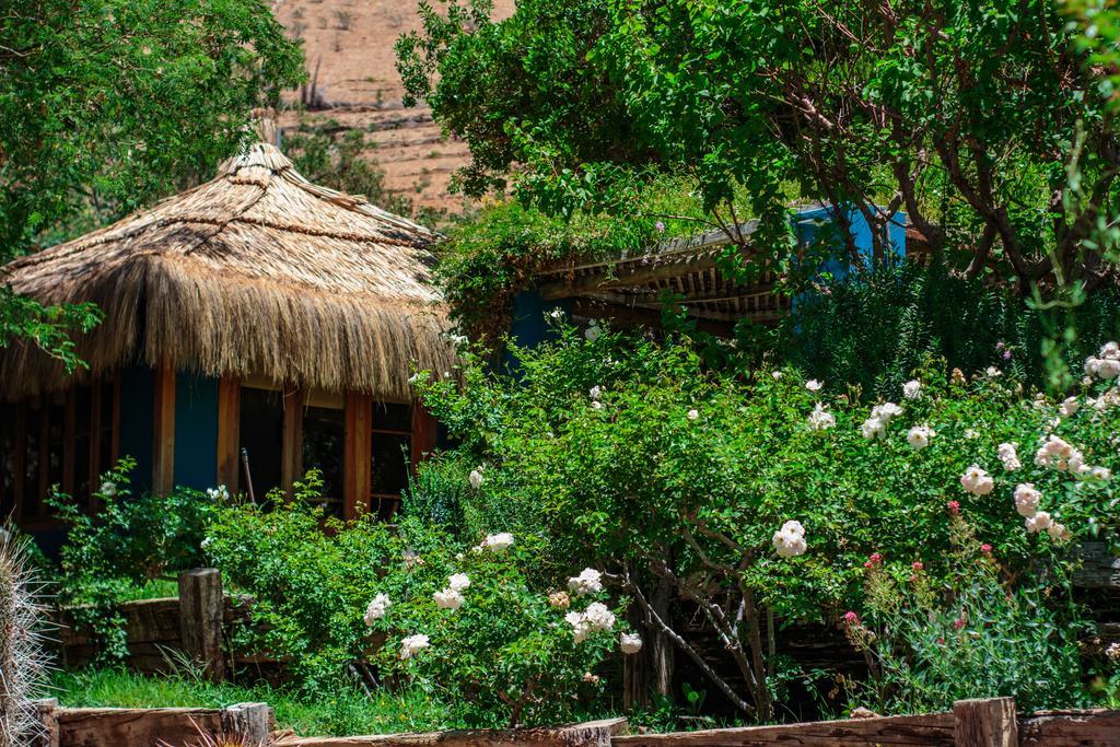 皮斯科艾齐Refugio Misterios Del Elqui住宿加早餐旅馆 外观 照片